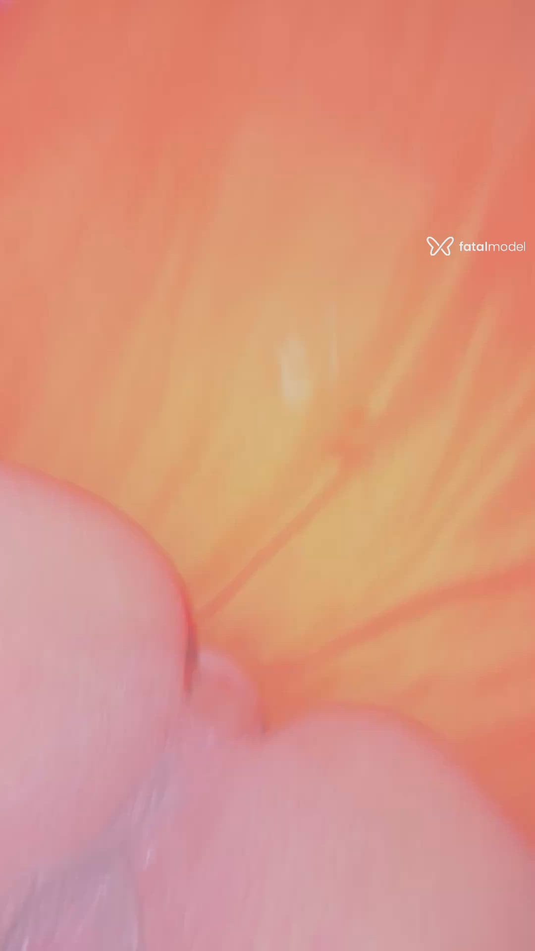 Vídeo 2