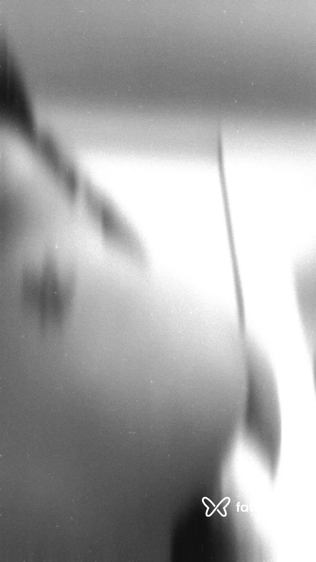 Vídeo 1