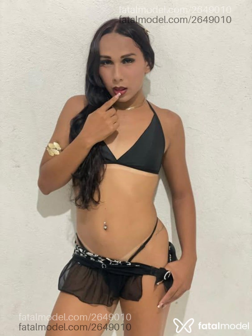 Acompanhante mulher trans morena (o) de olhos pretos em Imperatriz - Nicolly Laura