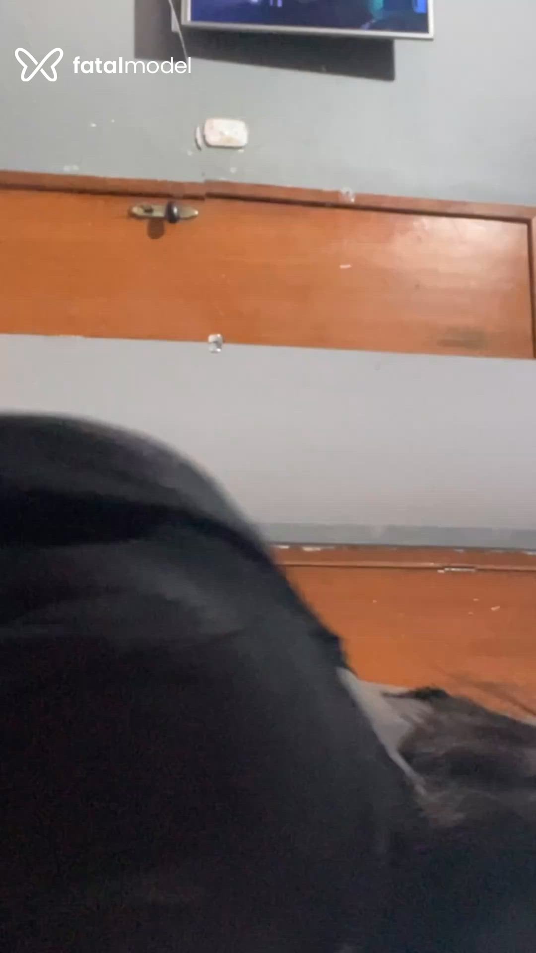 Vídeo 5