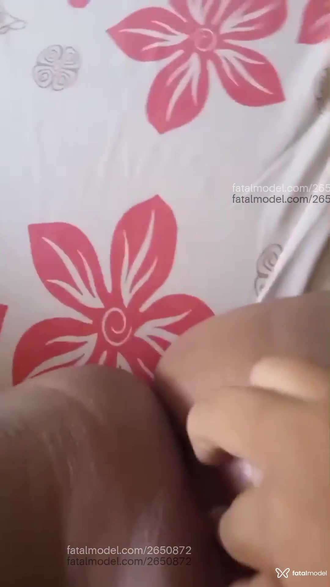 Acompanhante mulher morena (o) de olhos castanhos em Manaus - Carlamorena
