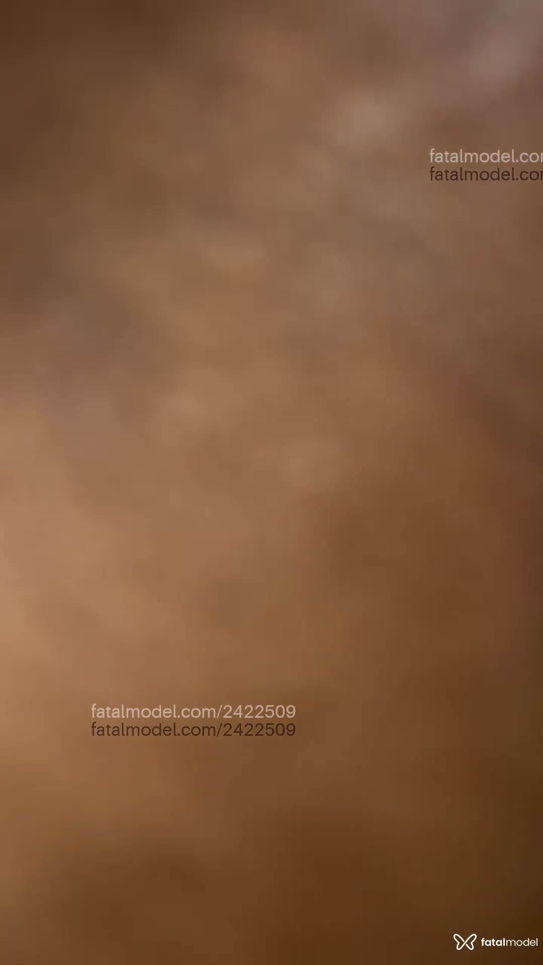 Vídeo 1