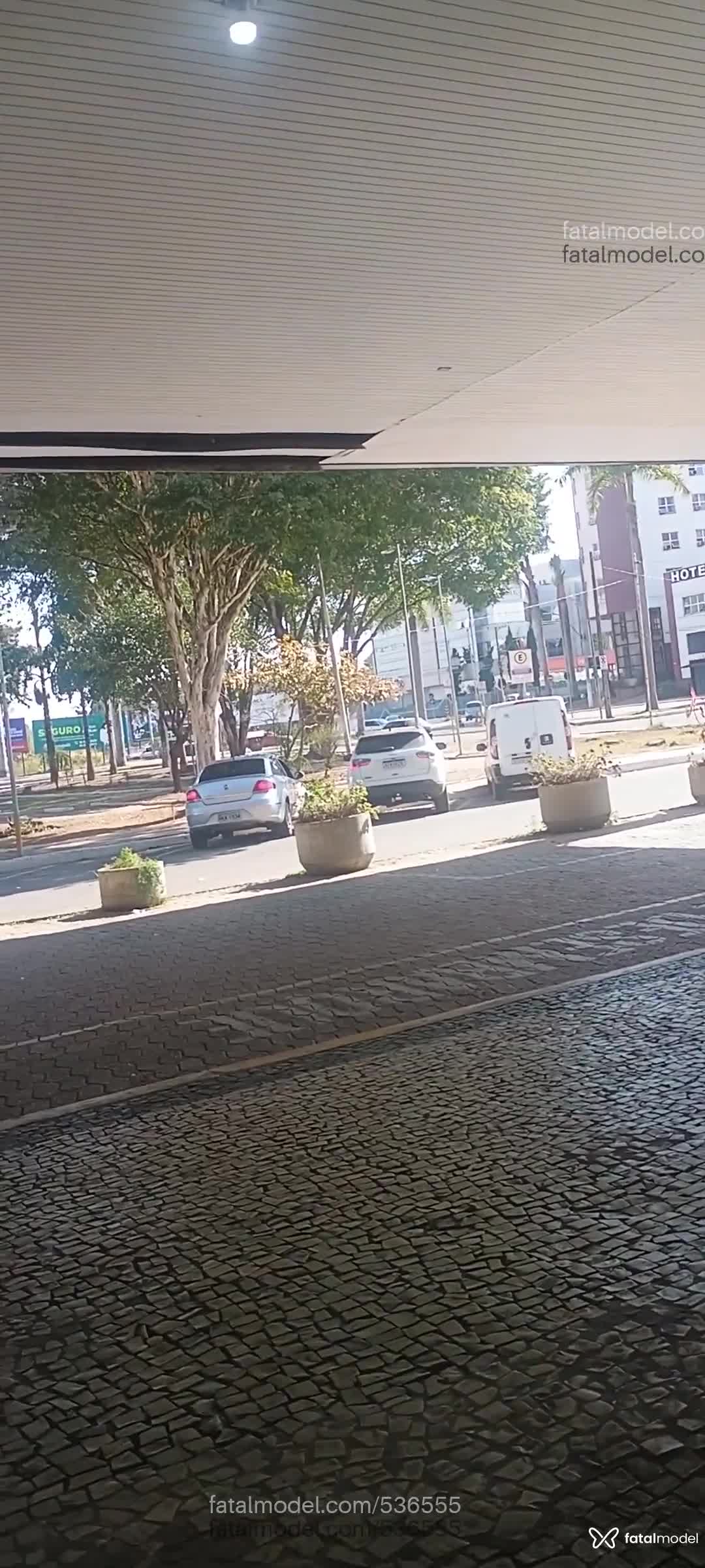 Acompanhante mulher com cabelo castanho de olhos pretos em Limeira - Erica