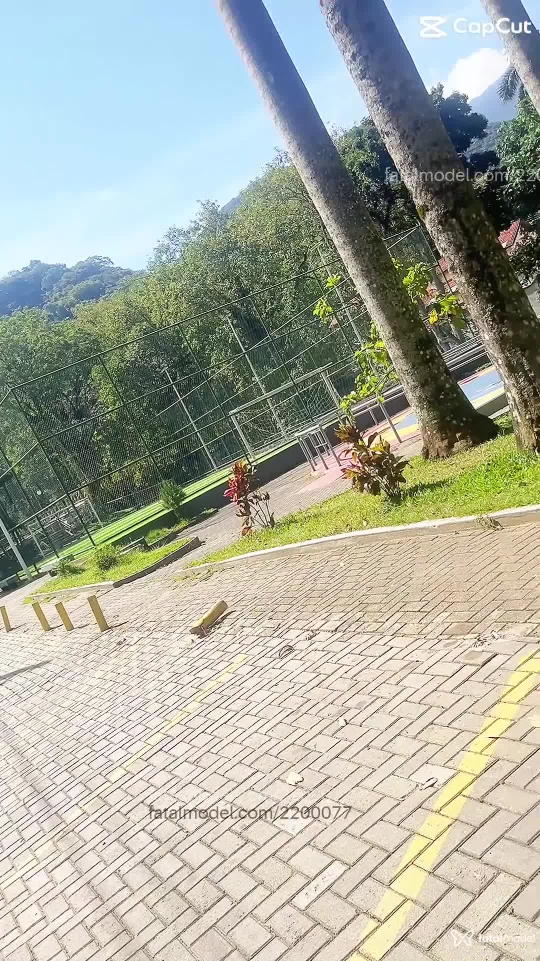 Vídeo 1