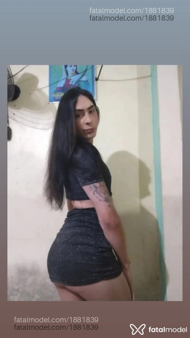 Acompanhante mulher trans morena (o) de olhos pretos em Belém - Davila Sofia
