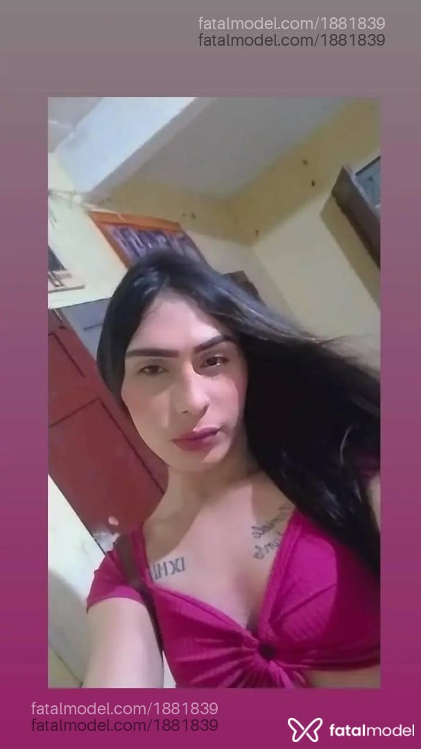 Acompanhante mulher trans morena (o) de olhos pretos em Belém - Davila Sofia