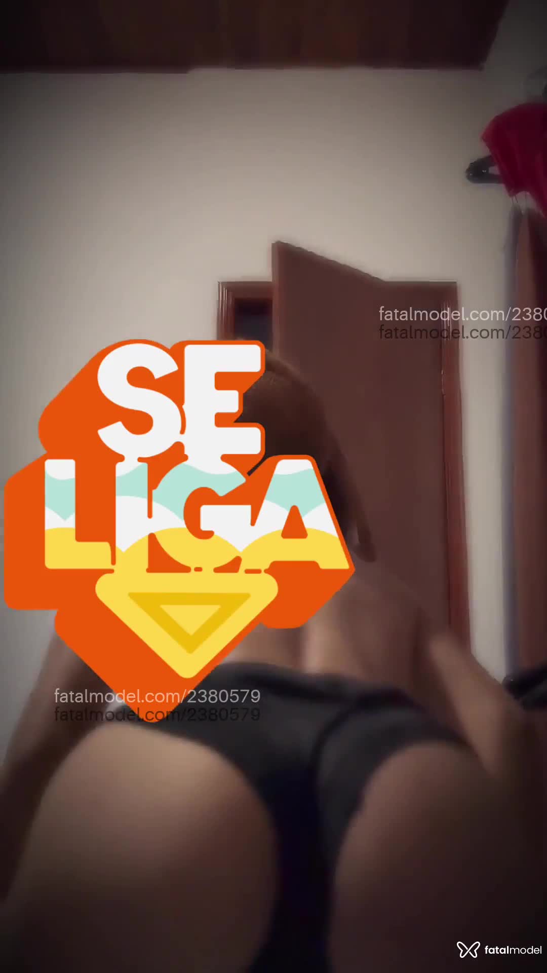 Vídeo 12