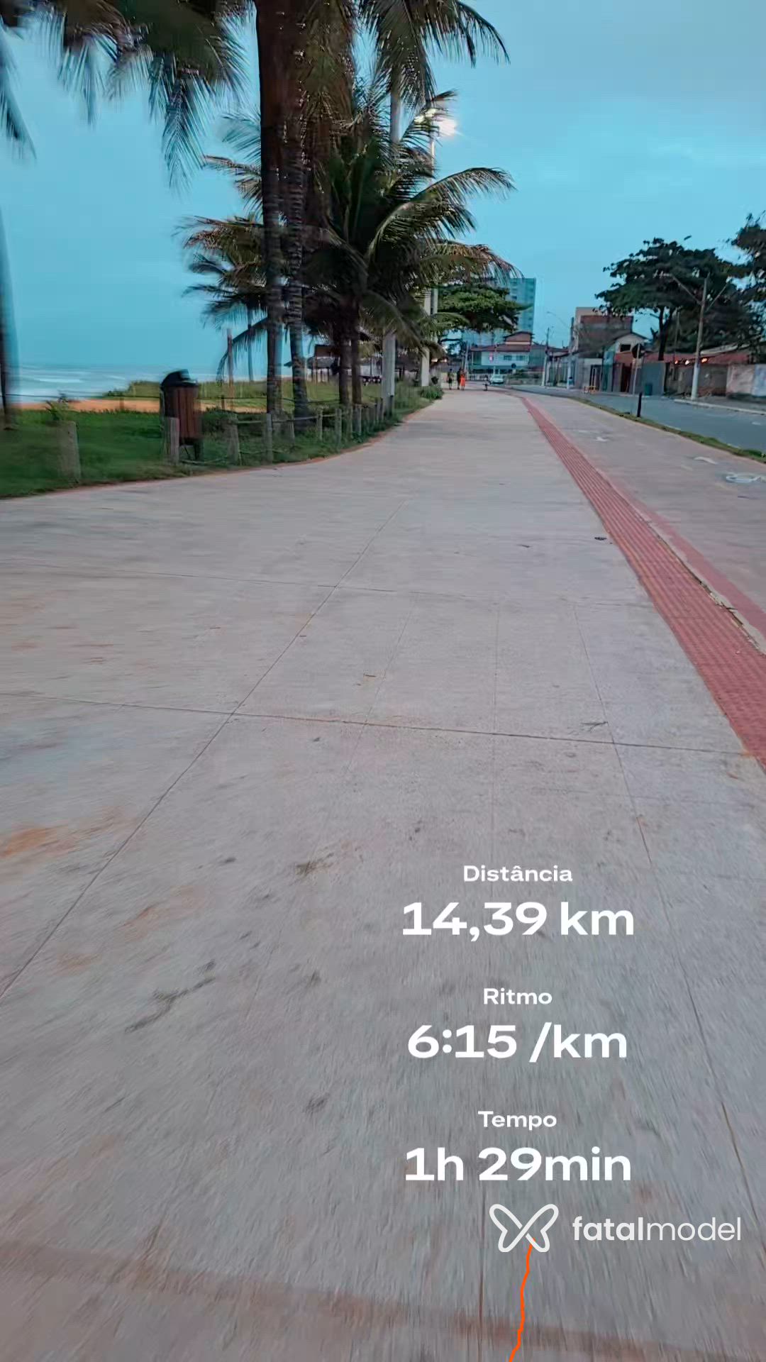 Vídeo 3