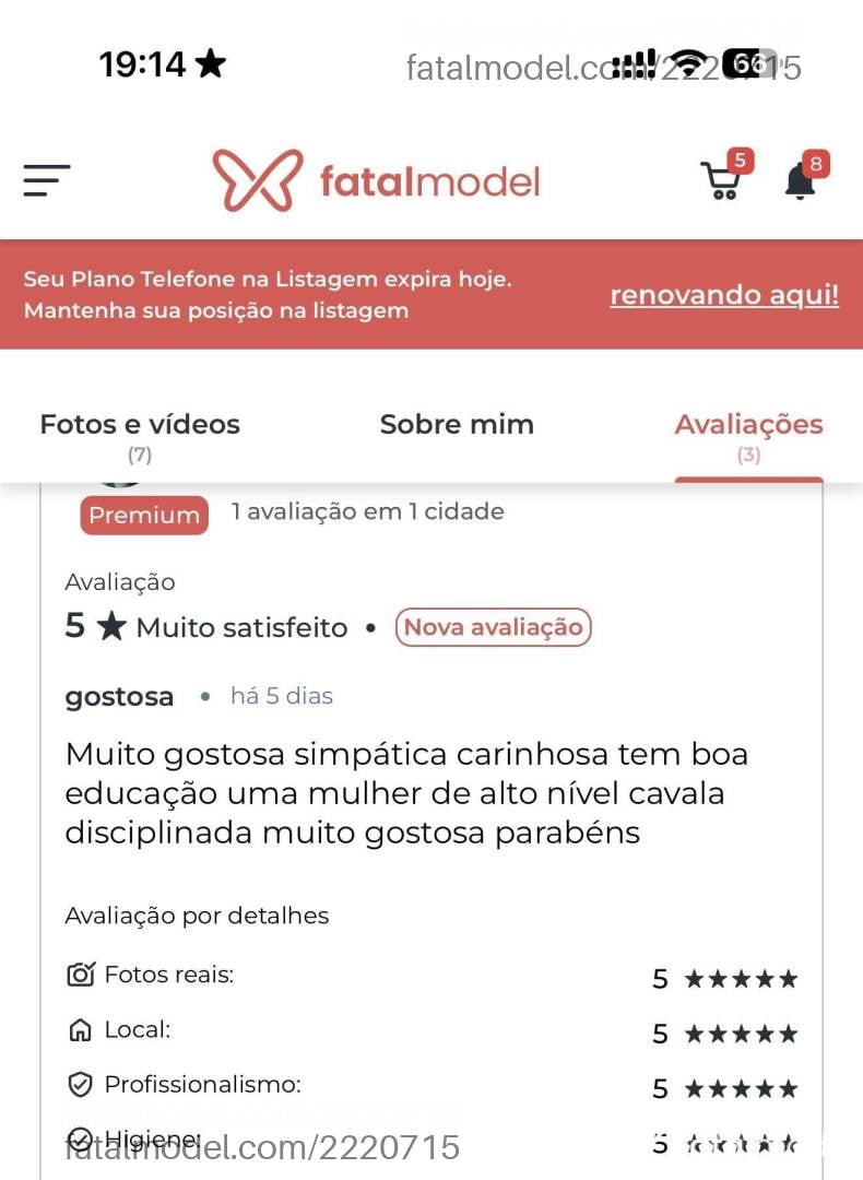Imagem 5