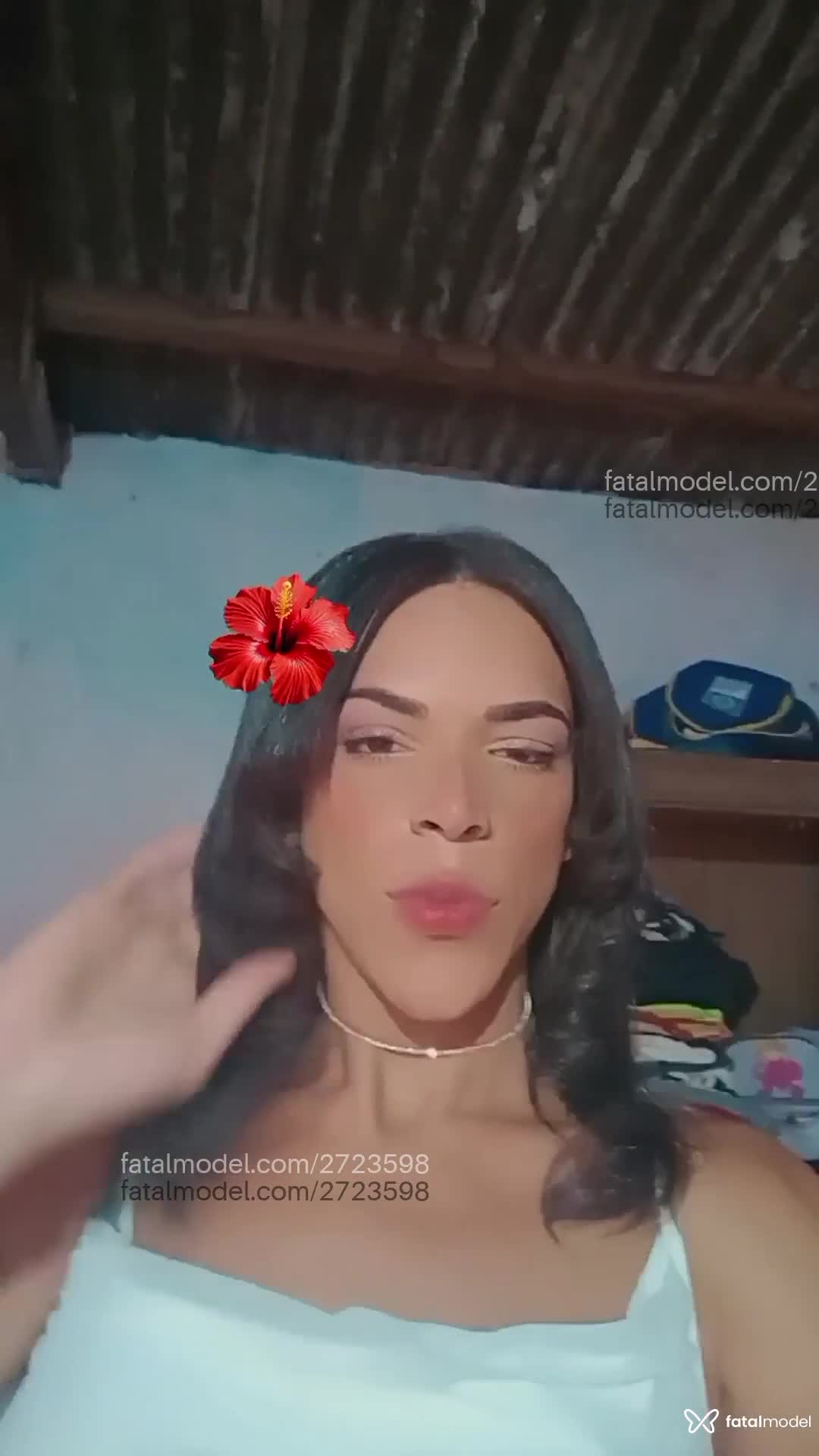 Acompanhante mulher trans morena (o) de olhos castanhos em Campo Novo do Parecis - Nycolle Maines