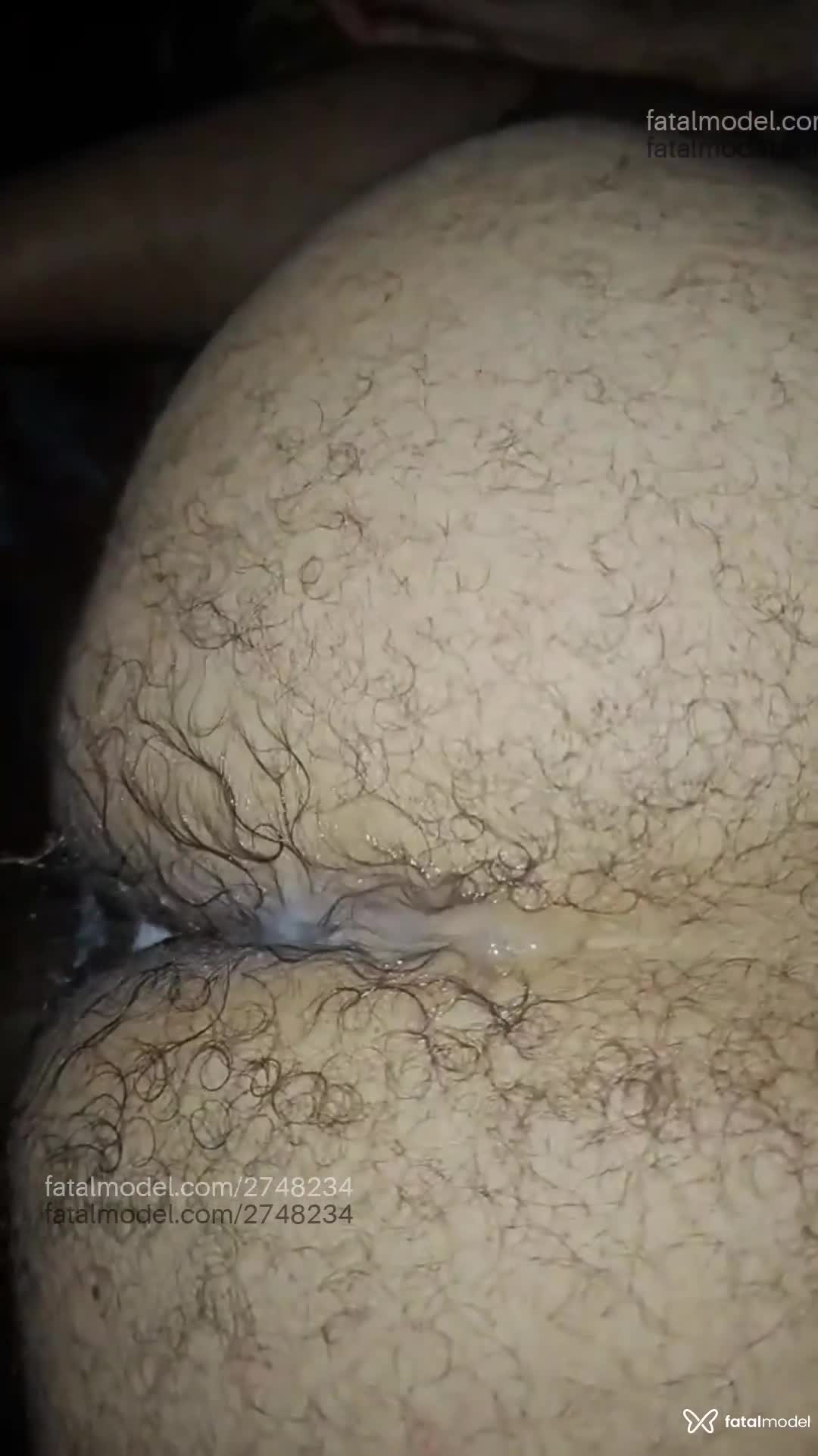 Acompanhante homem morena (o) de olhos castanhos em Rio de Janeiro - Tom Marques