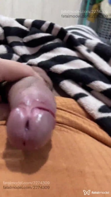 Acompanhante mulher trans morena (o) de olhos pretos em Florianópolis - Catharina Plussize
