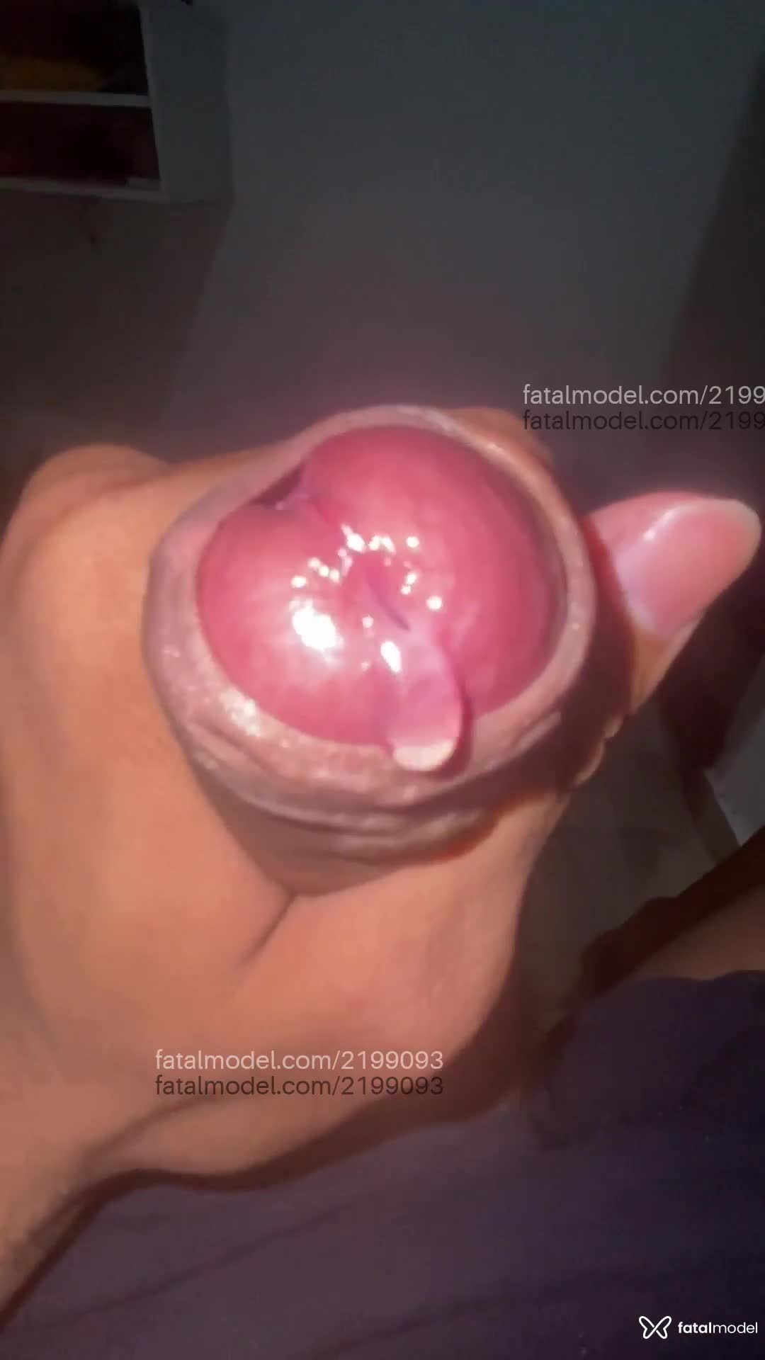 Acompanhante homem morena (o) de olhos castanhos em Virtual - Pabllo