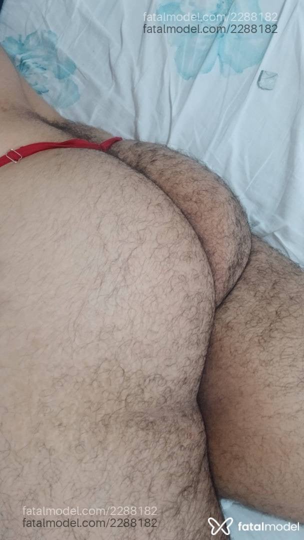 Acompanhante homem com cabelo castanho de olhos castanhos em Araçatuba Acompanhante homem com cabelo castanho de olhos castanhos em Araçatuba - Luiz Parrudo