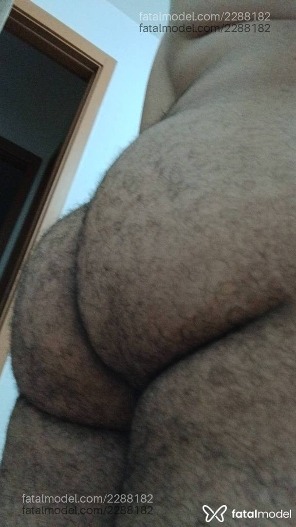 Acompanhante homem com cabelo castanho de olhos castanhos - Luiz Parrudo