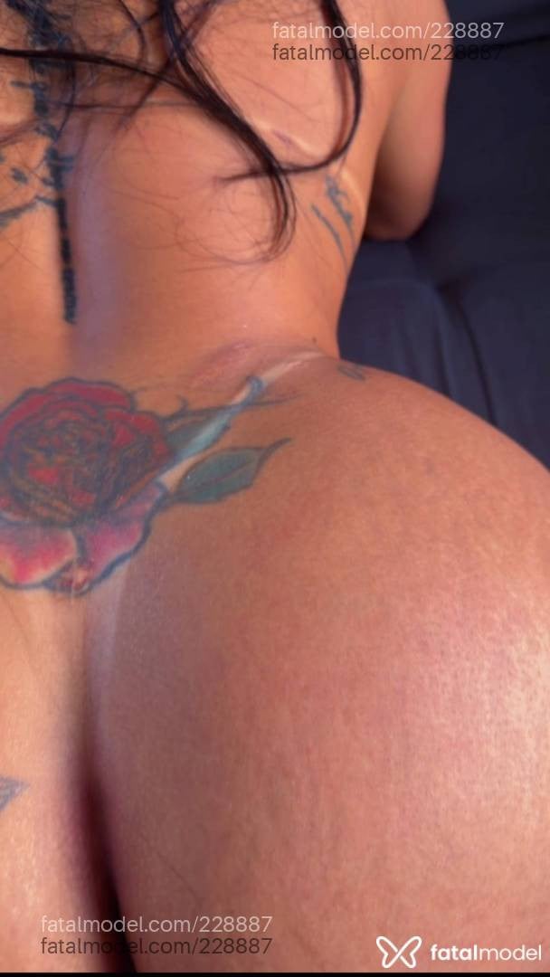 Acompanhante mulher morena (o) de olhos pretos em Palmas - Piitra