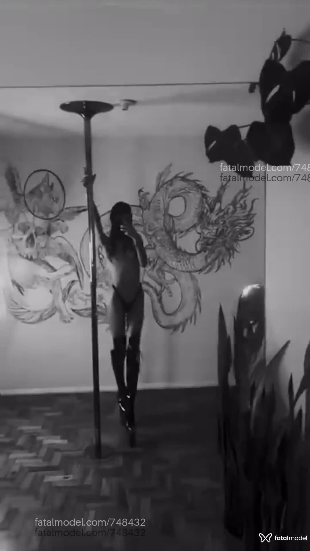 Acompanhante mulher trans morena (o) de olhos castanhos em Teresópolis - Eduarda