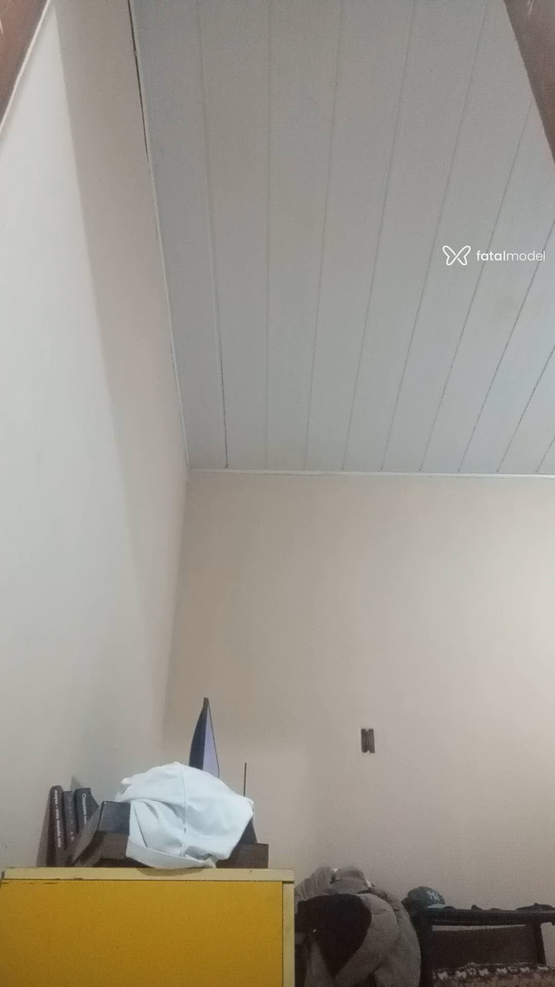 Vídeo 4
