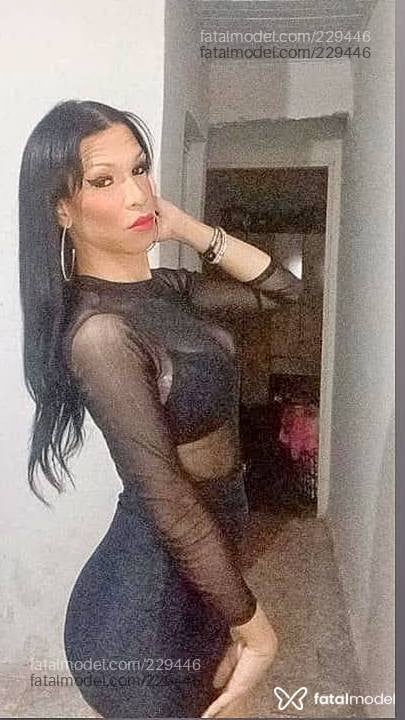 Acompanhante travesti morena (o) de olhos castanhos - Stephany silva