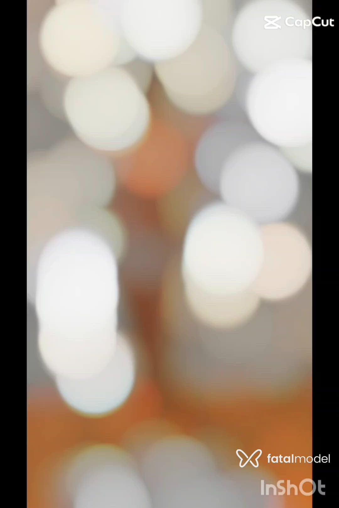Vídeo 3