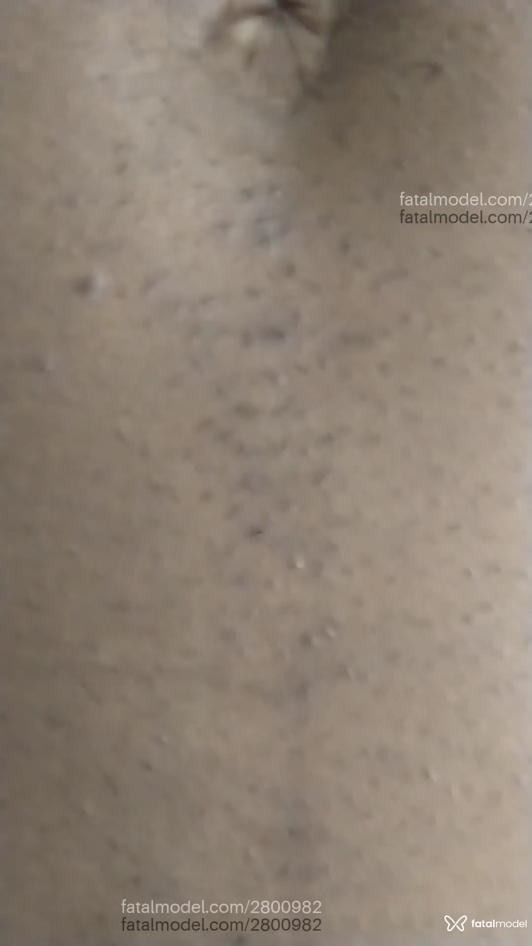 Acompanhante homem morena (o) de olhos castanhos em Virtual - Vicentty