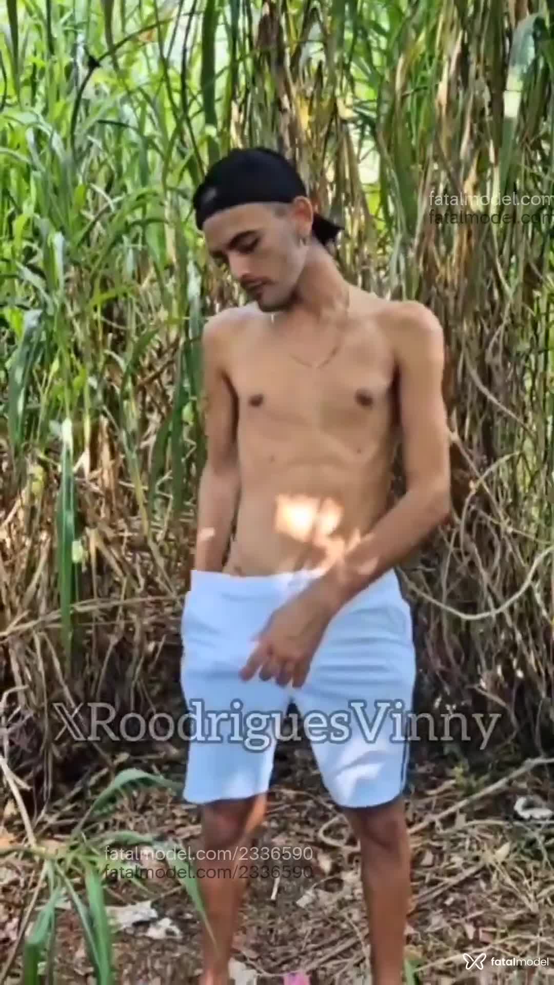 Acompanhante homem morena (o) de olhos castanhos em Virtual Acompanhante homem morena (o) de olhos castanhos em Virtual - Vinny Rodrigues