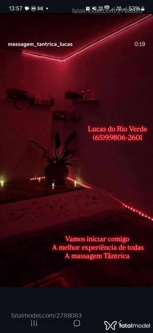 Acompanhante homem com cabelo castanho de olhos castanhos em Lucas do Rio Verde Acompanhante homem com cabelo castanho de olhos castanhos em Lucas do Rio Verde - Ricardãomassagista
