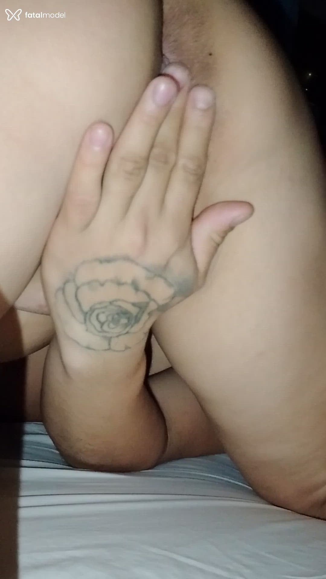 Acompanhante mulher com cabelo castanho de olhos castanhos em São Leopoldo Acompanhante mulher com cabelo castanho de olhos castanhos em São Leopoldo - Acasadinha