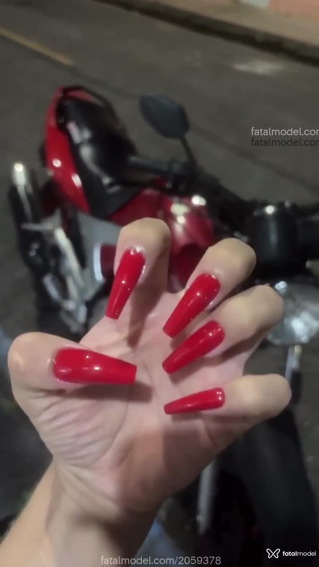 Acompanhante mulher trans morena (o) de olhos pretos em Belém Acompanhante mulher trans morena (o) de olhos pretos em Belém - Alessandra Duarte