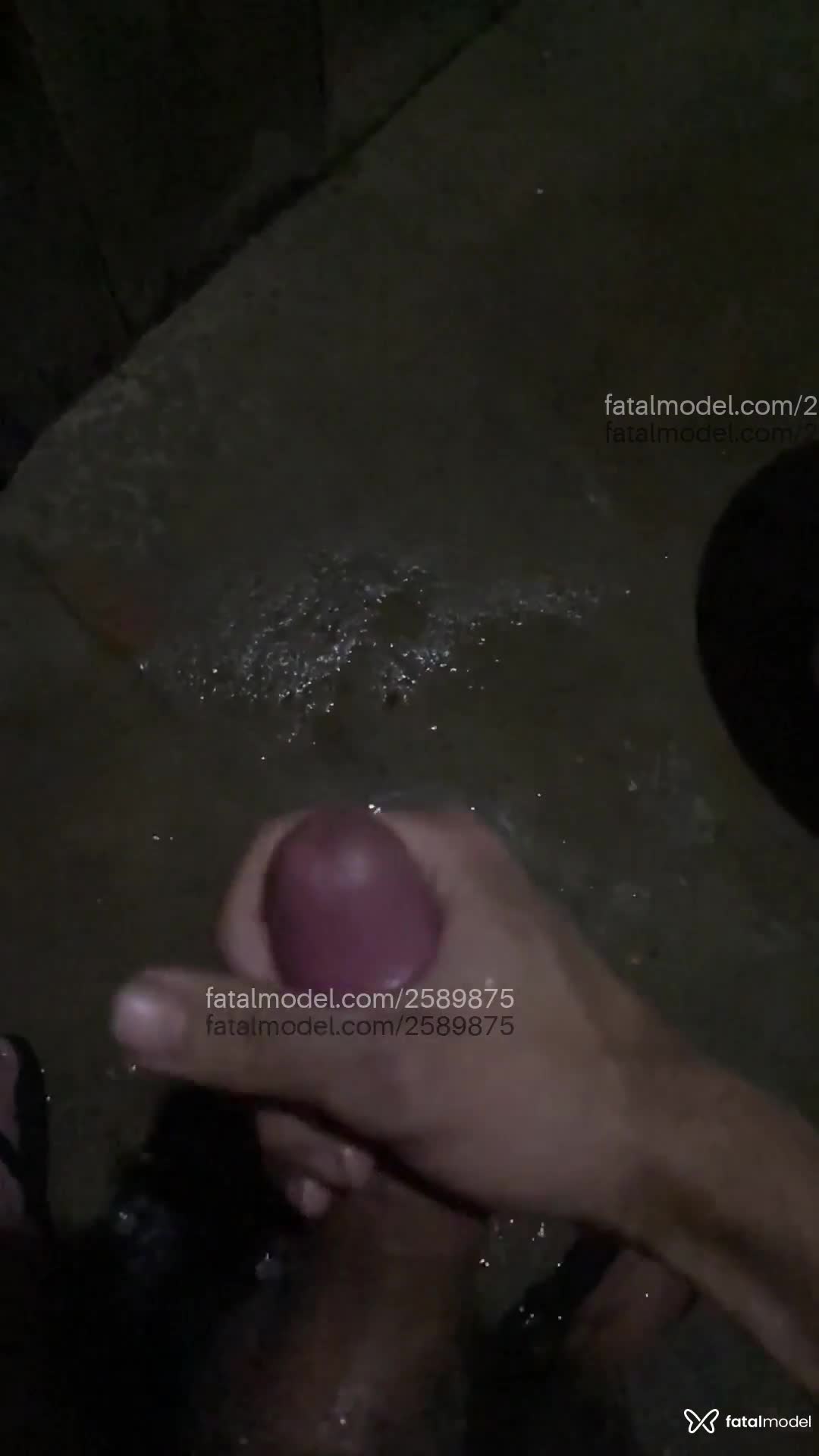 Acompanhante homem morena (o) de olhos castanhos em Palhoça - Lucas