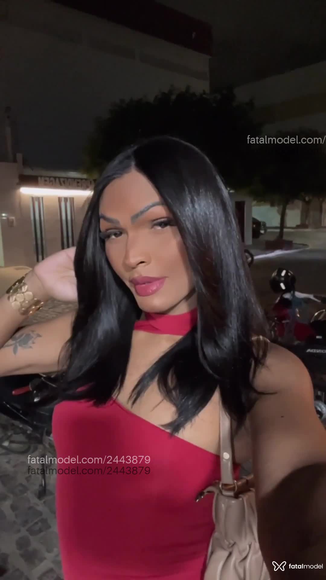 Acompanhante mulher trans morena (o) de olhos pretos em Santa Cruz do Capibaribe - Estrela