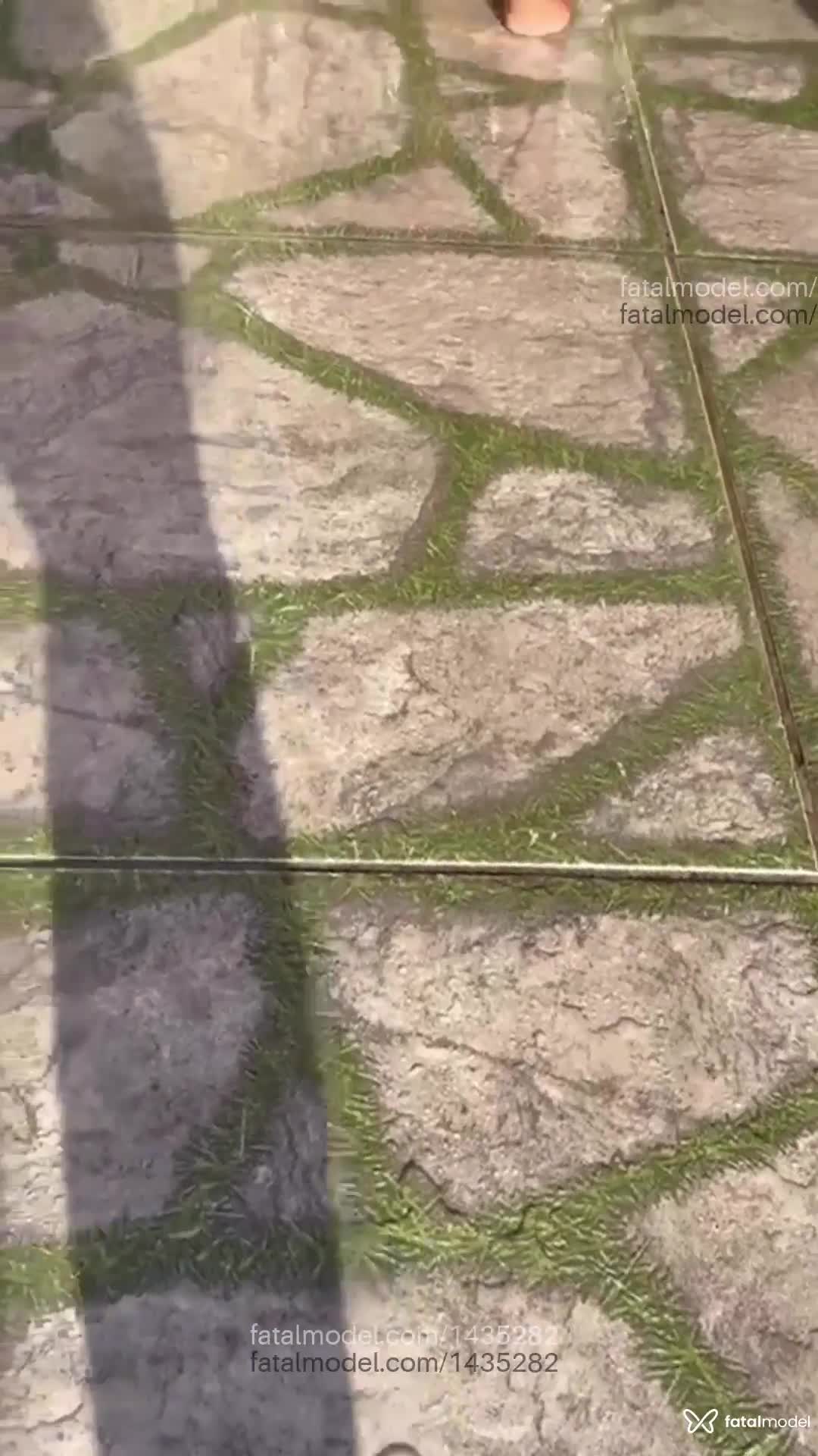 Vídeo 11