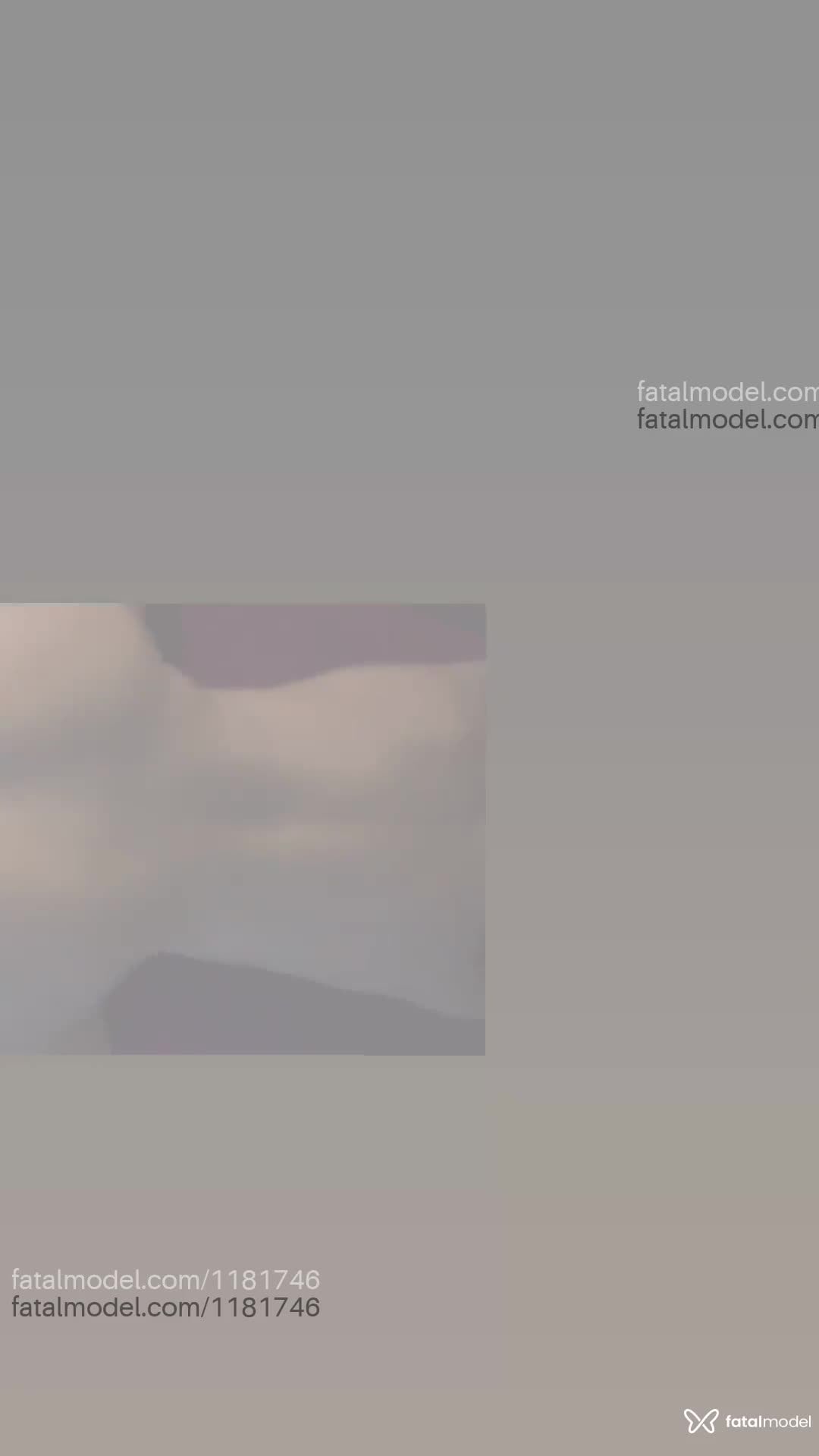Vídeo 11