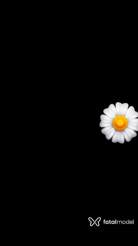 Vídeo 2