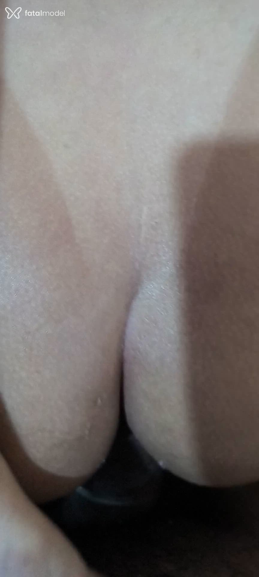 Acompanhante mulher morena (o) de olhos mel - Daniela