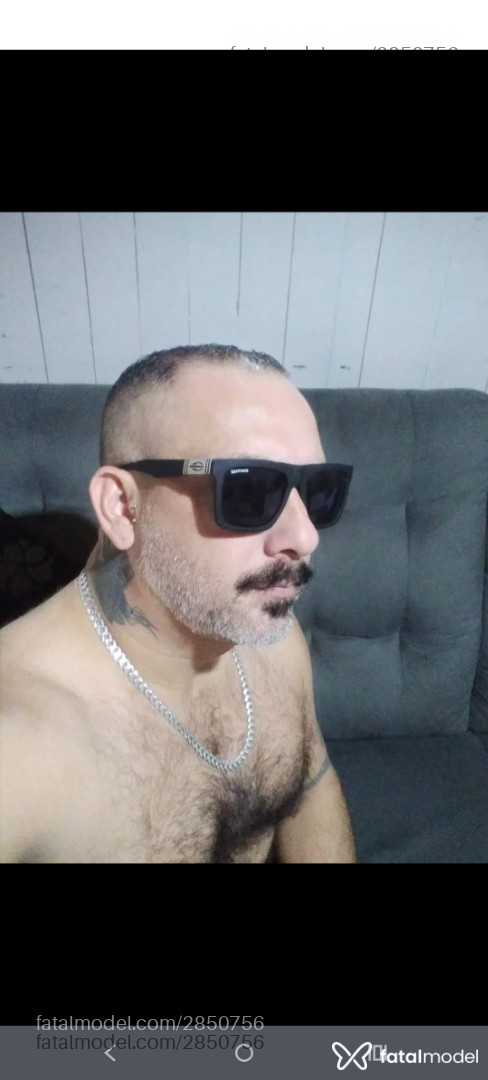 Acompanhante homem com cabelo castanho de olhos castanhos em Novo Hamburgo Acompanhante homem com cabelo castanho de olhos castanhos em Novo Hamburgo - Tigrão