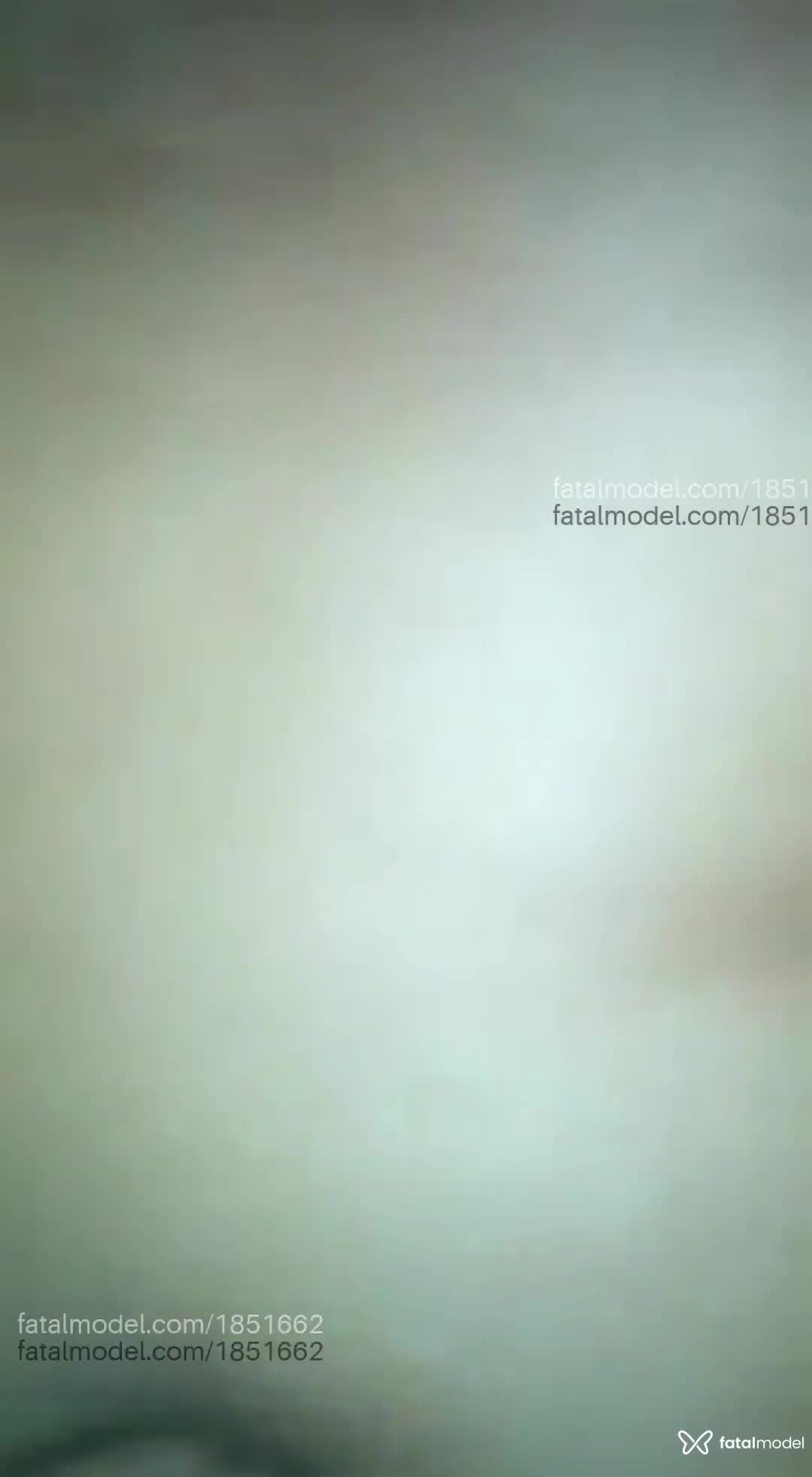 Vídeo 2