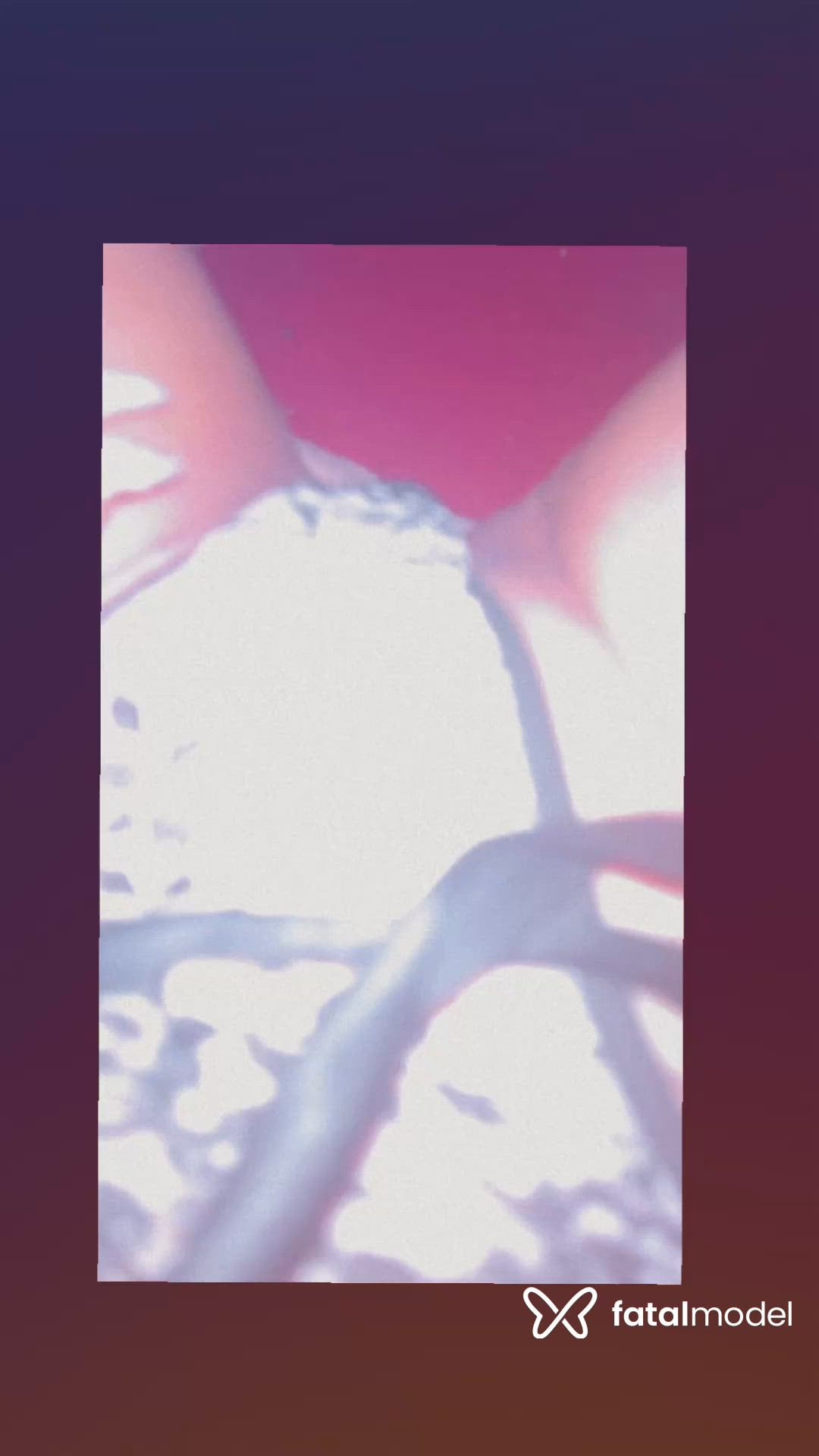 Vídeo 12