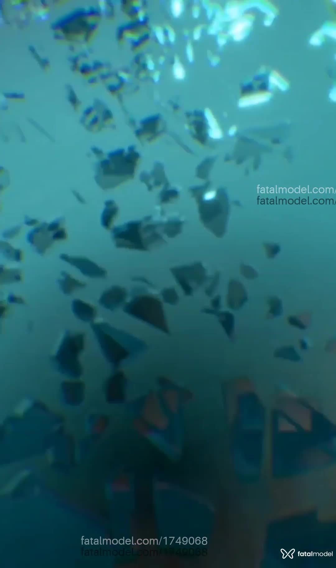 Vídeo 9