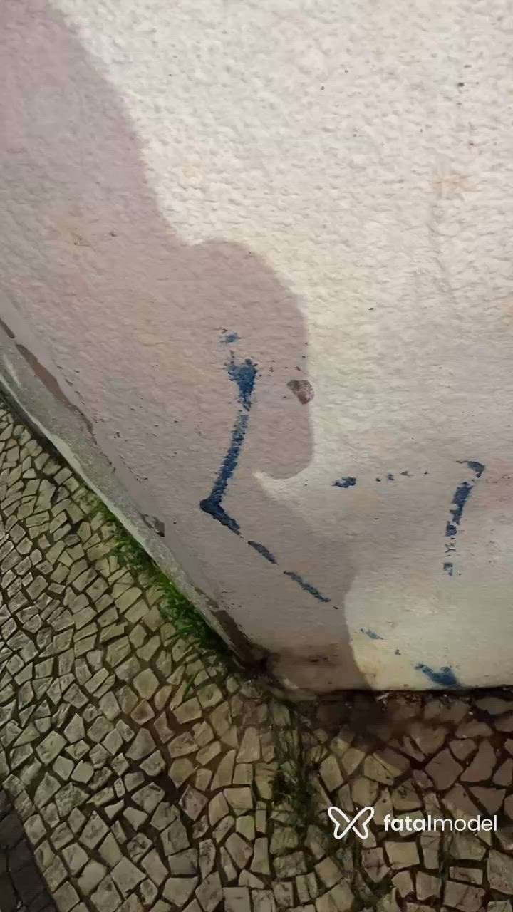 Vídeo 8