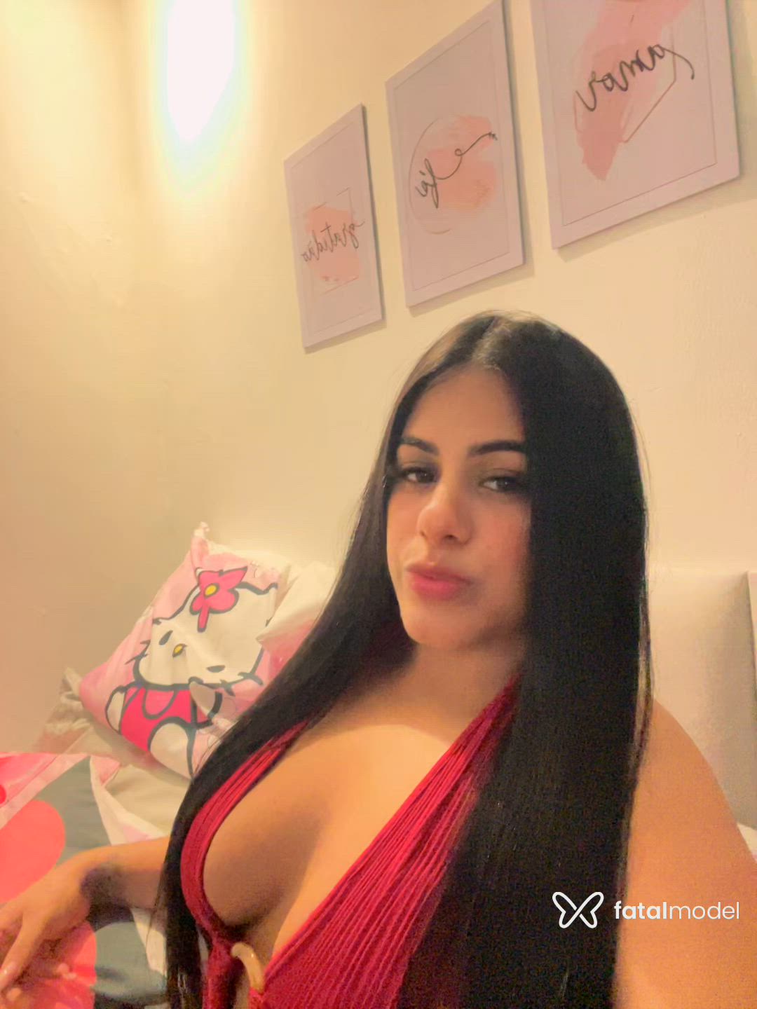 Vídeo 1