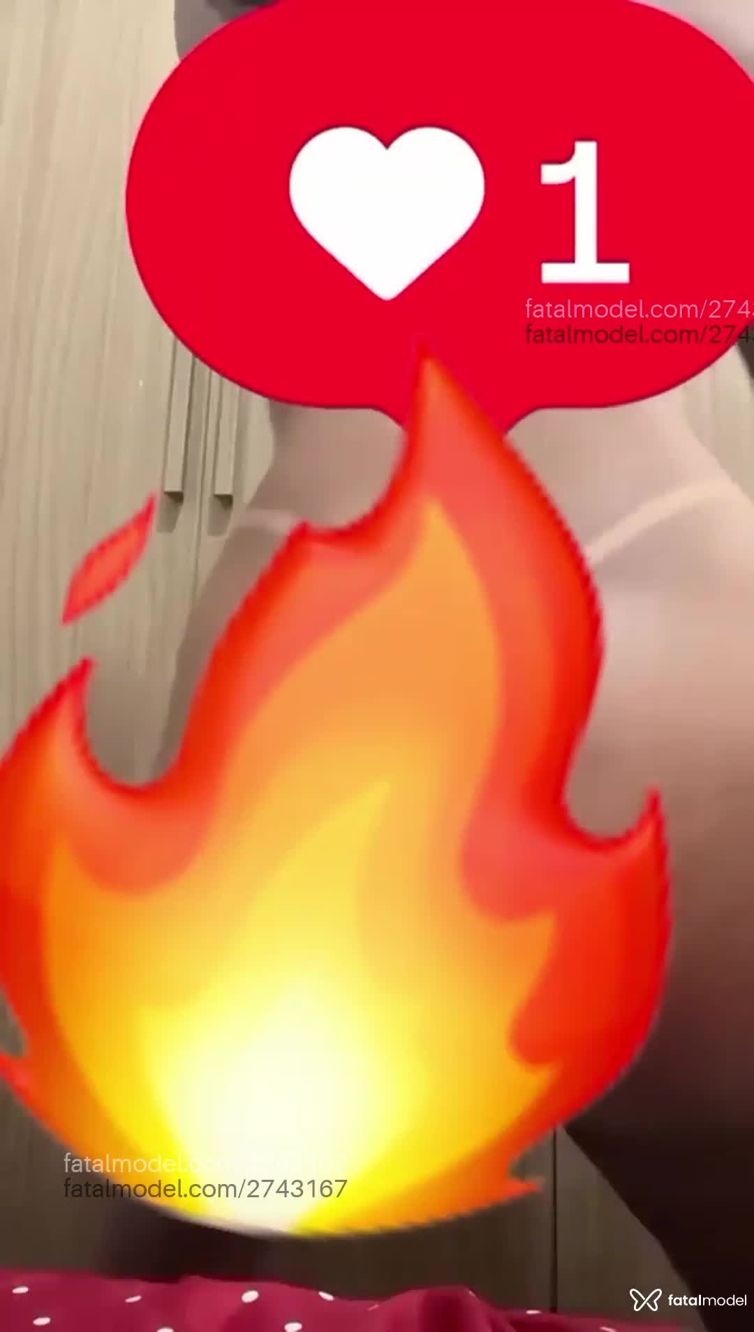 Vídeo 7