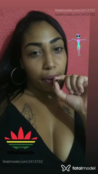 Vídeo 3