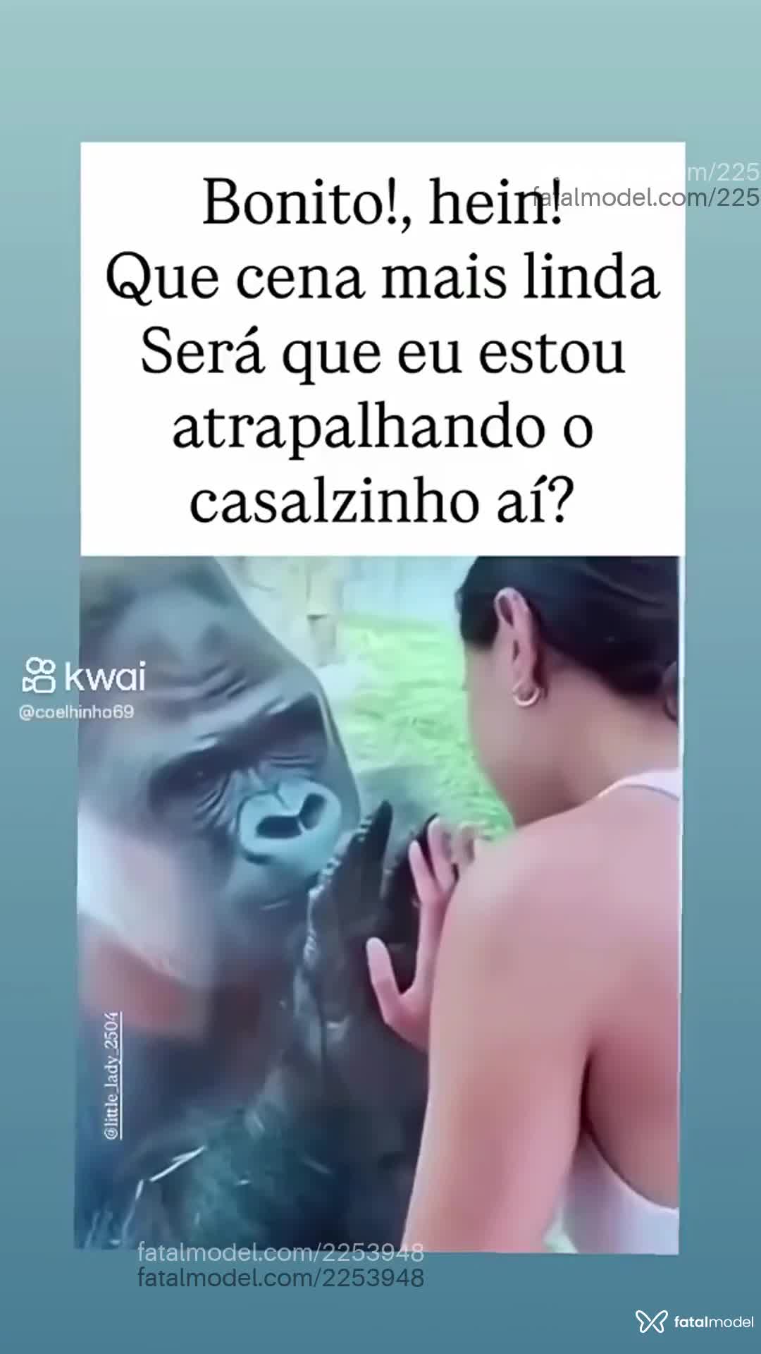 Acompanhante homem com cabelo castanho de olhos castanhos em Redenção Acompanhante homem com cabelo castanho de olhos castanhos em Redenção - Cachorao