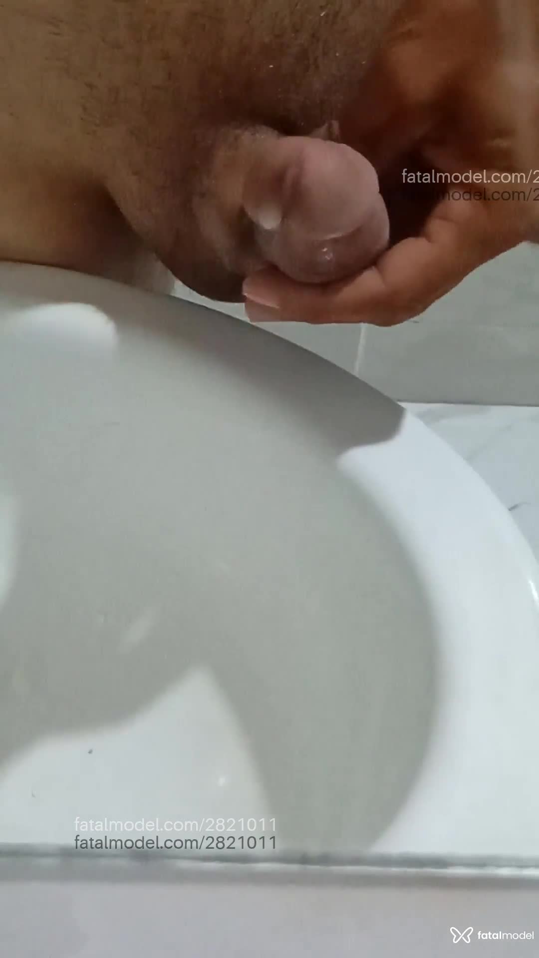 Acompanhante homem morena (o) de olhos castanhos em Foz do Iguaçu - Gatonovonacity