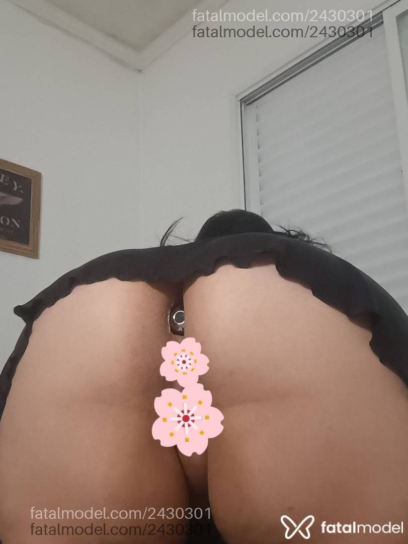 Acompanhante mulher morena (o) de olhos castanhos - Morganna