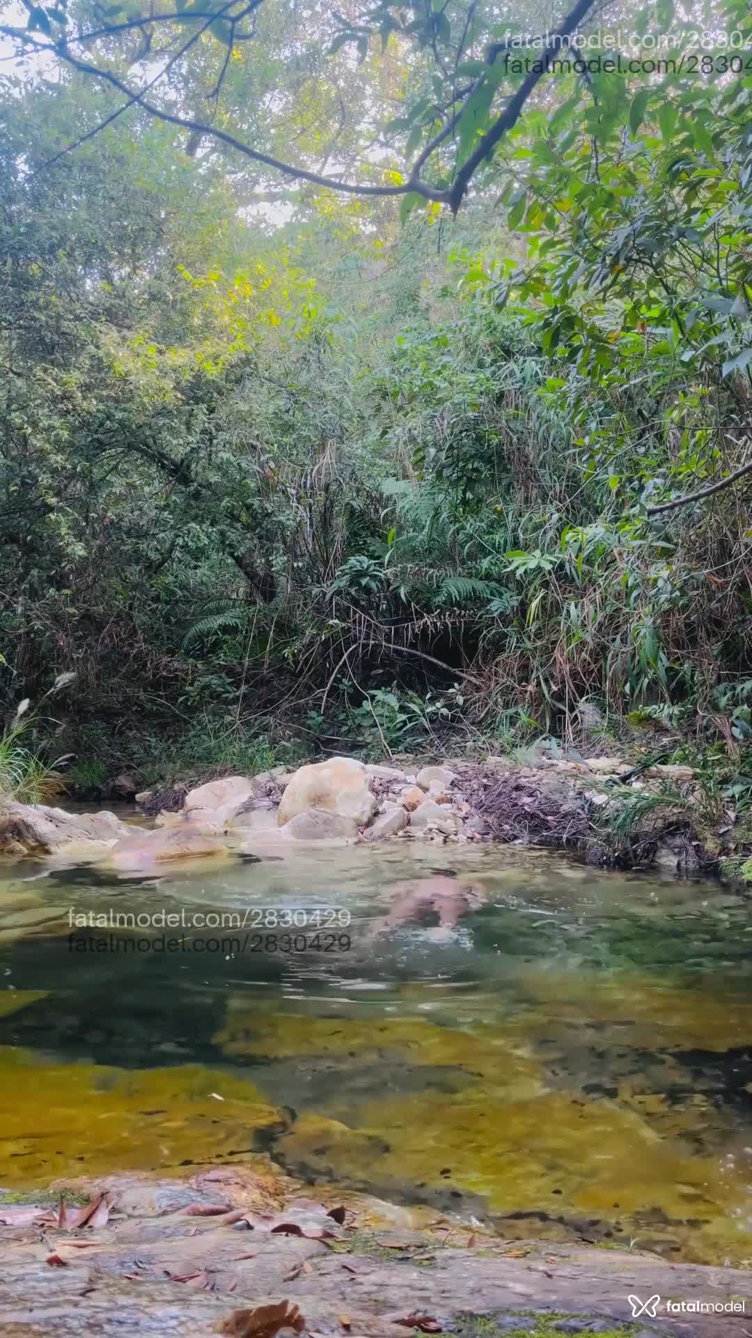 Acompanhante homem com cabelo castanho de olhos castanhos em Maringá - Mochileiro Versáti