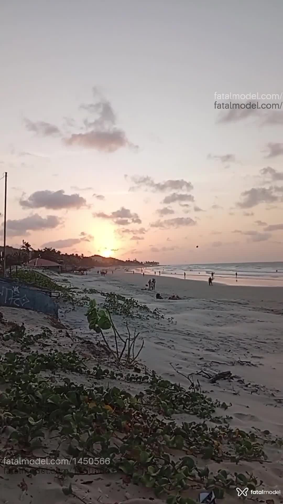 Acompanhante mulher morena (o) de olhos pretos - Sther Campos
