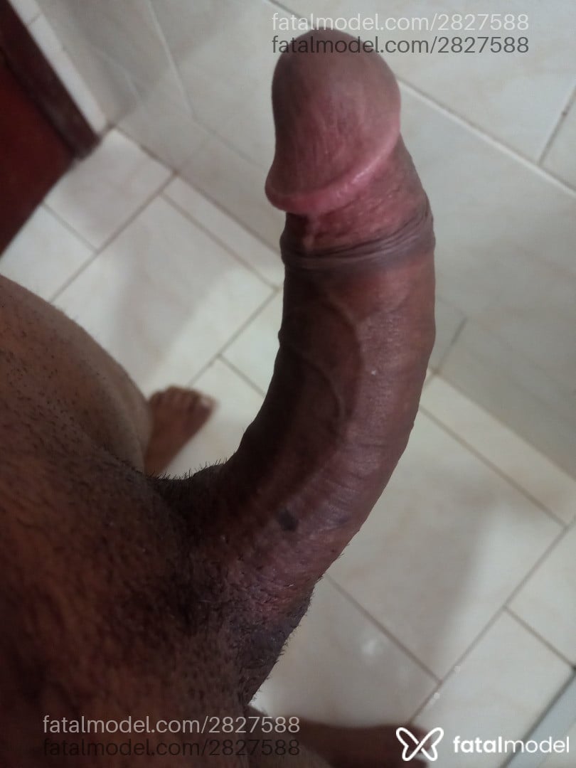 Acompanhante homem morena (o) de olhos castanhos em Camaçari Acompanhante homem morena (o) de olhos castanhos em Camaçari - Josival