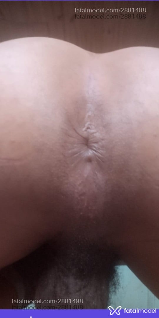 Acompanhante homem trans morena (o) de olhos pretos em Palmeira - Gabizinha